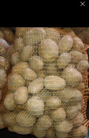 Ziemniaki 15 kg winieta tajfun dowóz każda ilość FV 5