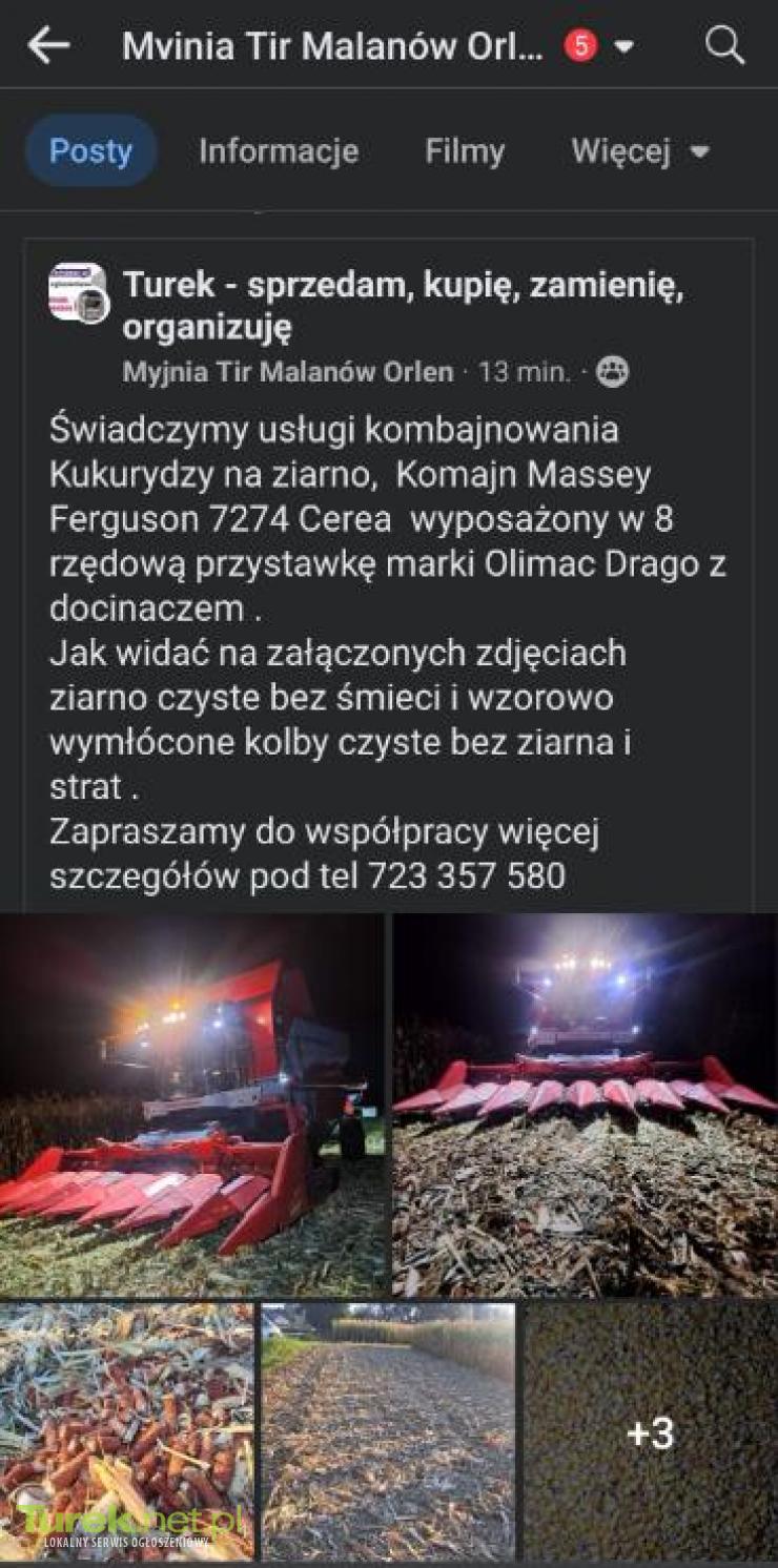 Kombajnowanie Kukurydzy na Ziarno...