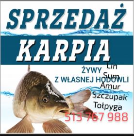 Sprzedaż ryb