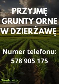 Przyjmę grunty orne w dzierżawę (Dziadowice i okolice)
