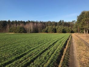 Atrakcyjne działki budowlane na sprzedaż