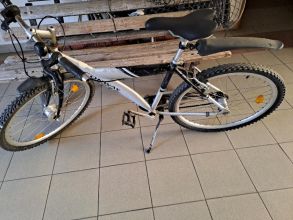 Rower Alu