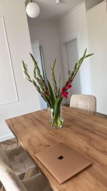 Stół rozkładany tulip do salonu