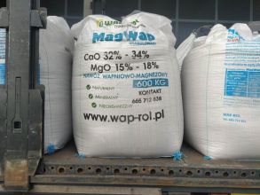 Wapno