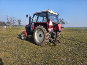 Ursus c385