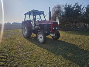 Ursus c385