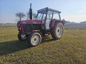 Ursus c385