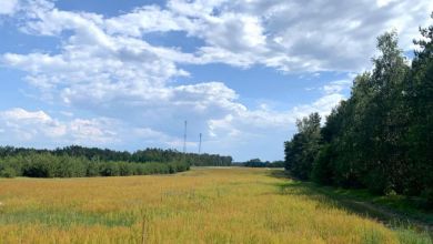 Ostatnia działka na sprzedaż KOWALE KSIĘŻE