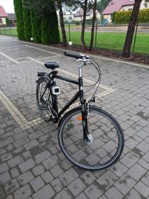 Rower Pegasus