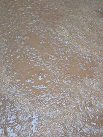 Sprzedam wywar syrop pszeniczny ok 30%białka