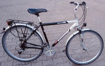 Rower Diamant 28