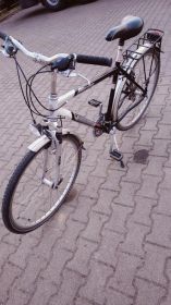 Rower Diamant 28