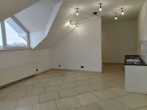 50m2, centrum, Okazja, lokal pod działalność wynajem!