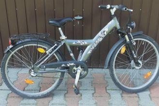 Rower pegasus 24