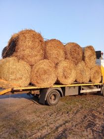 Słoma Słoma Transport
