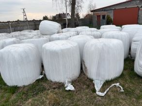 Sianokiszonka