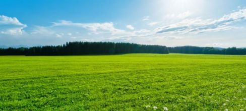 Oddam w dzierżawę 3,5ha wysokiej jakości łąk I pastwisk