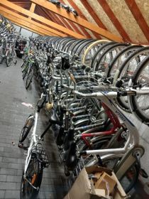 Rowery holenderskie gazelle batavus sparta