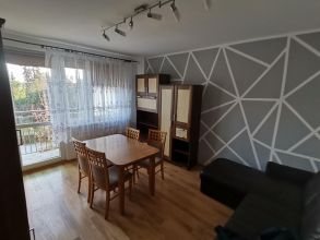 Do wynajęcia mieszkanie