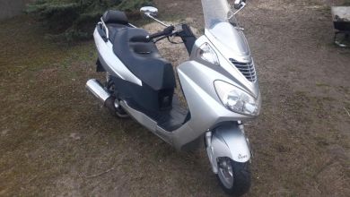Dealim 125cm duży