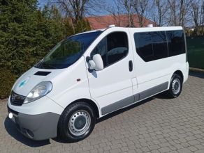 Śliczne/Vivaro/Lift/2.5/CDTI/Sanitarka/Zarejestro wany/