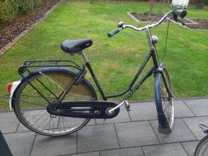 Gazelle