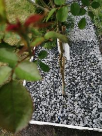 Kamienie ozdobne, kostka brukowa, ziemia ogrodowa