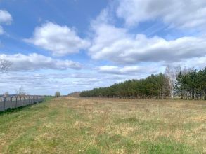 Działki powierzchni 3,9 ha na sprzedaż KRWONY gm Brudzew