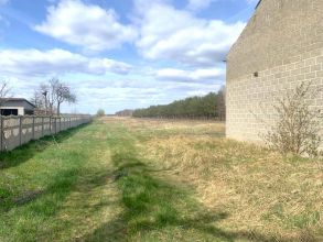 Działki powierzchni 3,9 ha na sprzedaż KRWONY gm Brudzew