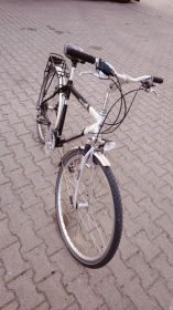 Rower Diamant 28