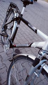 Rower Diamant 28