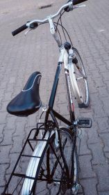 Rower Diamant 28