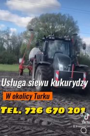 Usługa siewu kukurydzy
