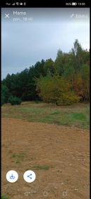 Dzialka