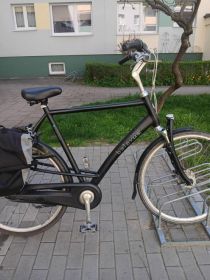 Rower batavus mambo