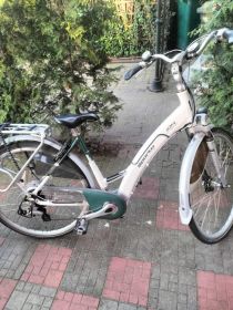 Rower batavus