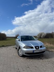 Seat ibiza 6l