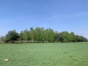 działki na sprzedaż ROGÓW gm Przykona