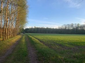 8 ha na sprzedaż - BRODY gm. Malanów