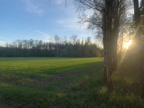 8 ha na sprzedaż - BRODY gm. Malanów