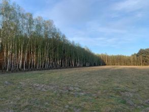 8 ha na sprzedaż - BRODY gm. Malanów