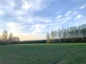 8 ha na sprzedaż - BRODY gm. Malanów