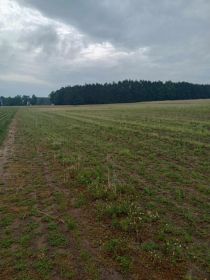 Twoja działka