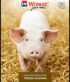 Koncetraty, Premiksy i pasza pełnoporcjowa