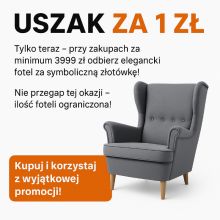 Fotel uszak za 1zł