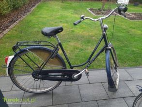 Gazelle