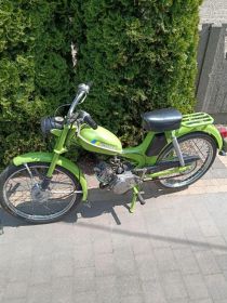 Komar