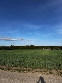 Sprzedam