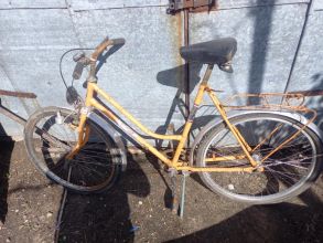 Rower damka 24