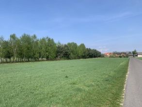 2 działki na sprzedaż ROGÓW gm. Przykona